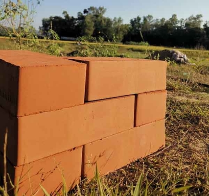 मड क्ले ब्रिक मेकिंग मशीन प्रोडक्शन लाइन 2.5 ~ 2.8MPa एक्सट्रूज़न प्रेशर