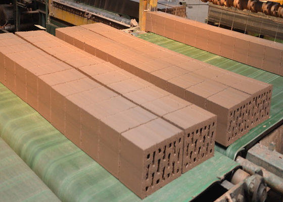 QTQD-1 मॉडल क्ले ईंट काटने की मशीन, 1254 मिमी लंबाई और सटीक ईंट की दीवार काटने के लिए अधिकतम काटने की ऊंचाई 300 मिमी