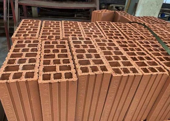 सुरंग भट्ठा स्वयंचलित उत्पादन लाइन, सुरंग ड्रायर और बड़ी क्षमताओं के साथ 800 टन/दिन के लिए क्ले खोखले ब्लॉक बनाने के लिए