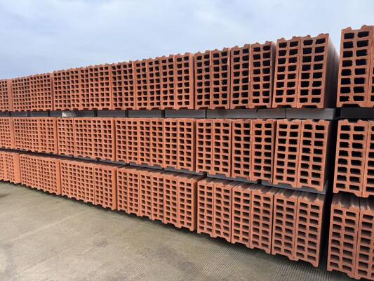 खोखले ब्लॉक और दीवार पैनल के लिए मिट्टी की ईंट उत्पादन लाइन सुखाने और फायरिंग सिस्टम प्रौद्योगिकी